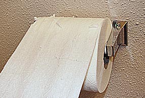 shredded TP shredded TP